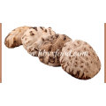 4-6cm Whole Dried Tea Flower Mushroom Export Vegetable